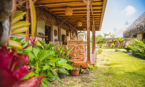 Bungalow Tropical